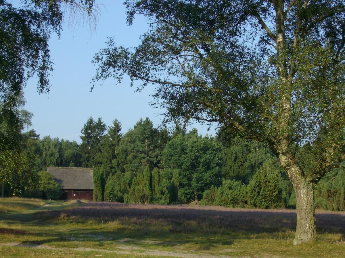 Ferienwohnungen Tewes Müden Eksteriør bilde